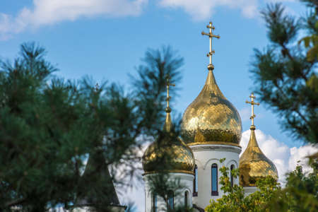 The church stands proudly among the firsの写真素材