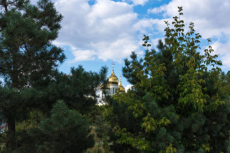 The church stands proudly among the firsの写真素材