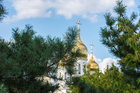 The church stands proudly among the firsの写真素材