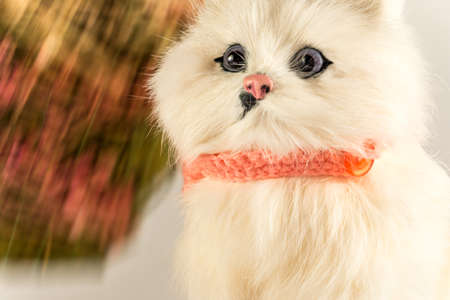 Little fluffy toy in the form of a kitten.の写真素材