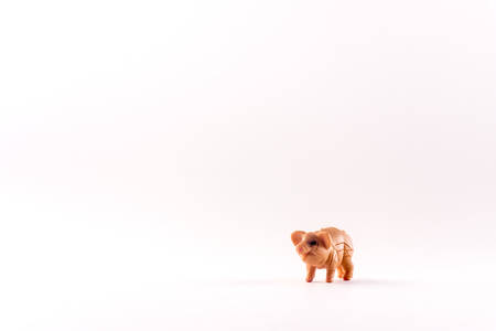 A small child's toy in the form of an animal.の写真素材