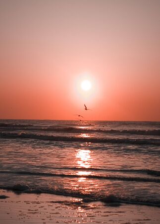 Flying into the sunの写真素材