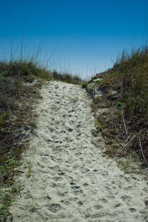 Footprints to the beachの写真素材