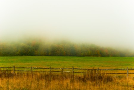 The fog settled in over a colorful fall valley in Canaan Valley, WV.の写真素材
