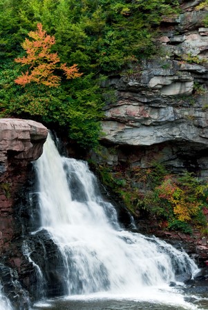 The far side of Blackwater Falls with a single tree starting to change colors.の写真素材