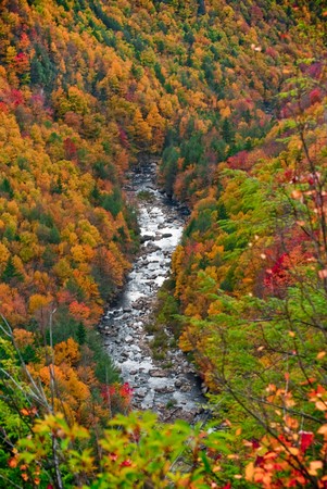 The Blackwater rivers winds through the colorful fall mountains of WV.の写真素材