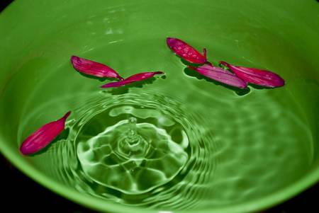 Water drop caught at the peak in a bowl of flower petals.の写真素材
