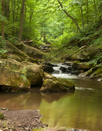 Small rapids along Roaring run stream that curves around large rocks.の写真素材