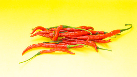 The red Curly chilies (Capsicum annum L.) are strewn with a yellow background.の写真素材