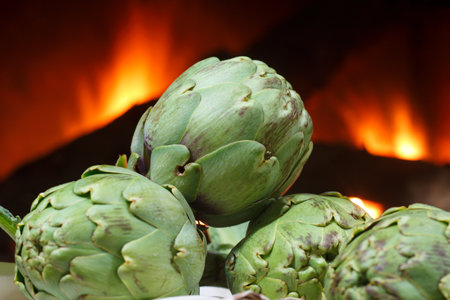 Artichoke on rustic background of organic cultivation in del Prat de Llobregat in Cataloniaの写真素材