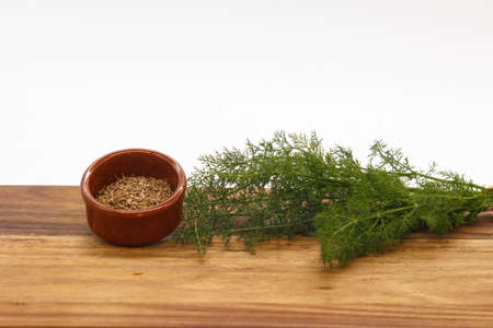 Fresh fennel and its seed on wooden board with white background, Foeniculum vulgare, aromatic plant