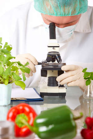 Researcher holding up a GMO vegetable. Genetically modified organism or GEO here transgenic plant is an plant whose genetic material has been altered using genetic engineering techniques known as recombinant DNA technology. の写真素材