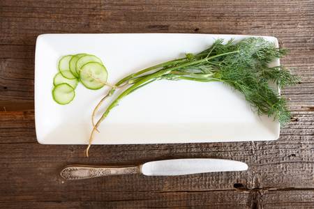 Weight loss concept with only two vegetables cucumber and dill on modern plate but in retro style on...