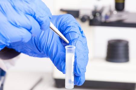 Lab technician working with equipment  tweezers, microscope, test tubes  filled with colored fluid,...