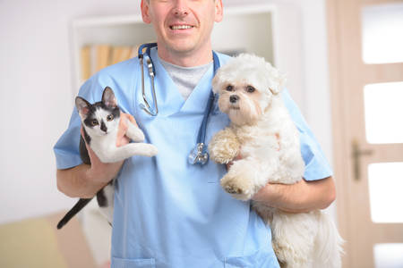 Happy vet with dog and cat, focus intentionally left on smile of veterinary の写真素材