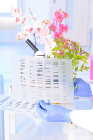 Scientist analizing DNA sequence for GMO experiments with plantsの写真素材