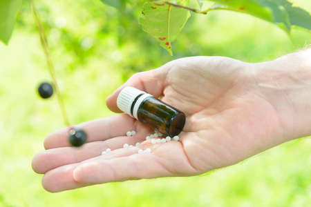 Homeopathic lactose sugar globules on hand with plants outdoors.の写真素材