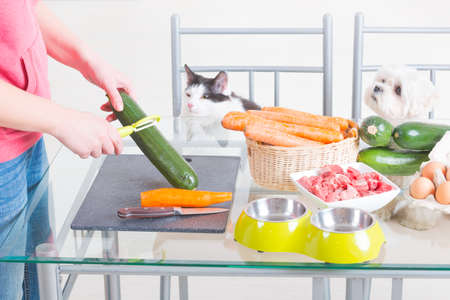 Preparing natural natural, organic food for pets at homeの写真素材