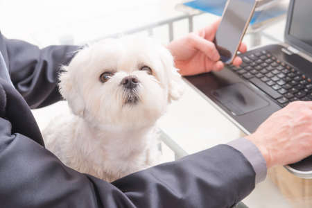 Man working in the office and holding his liitle dog.の写真素材