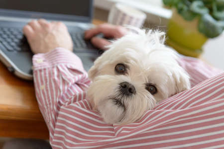 Man working and holding his liitle dog.