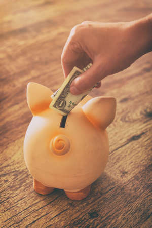 Female hand putting one dollar banknote into piggy bank の写真素材