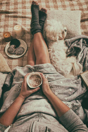 Woman with cute dog, sweet gingerbread cookies, book, hot drink lying on bed in the cozy roomの写真素材