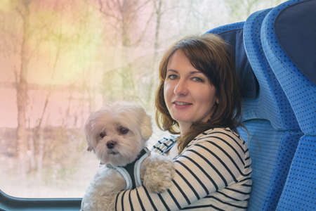 Small maltese dog traveling by train with his owner