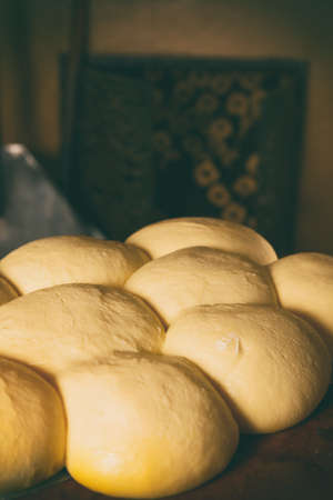 Fresh original Italian raw pizza dough, shovel and stone oven in background.