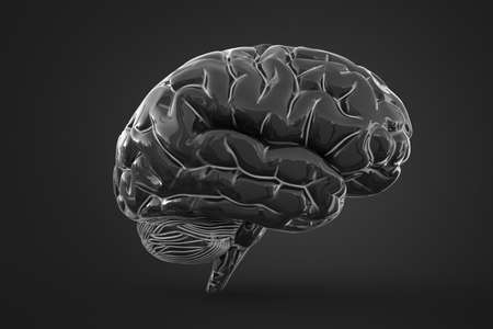 3d illustration of human brain over dark background with soft shadow. の写真素材