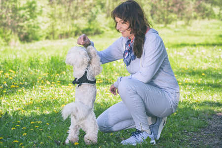 Woman trains her white maltese dog in the park