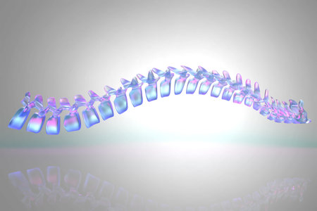 Modern 3d illustration of human spine in horizontal position