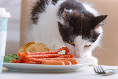 Cat tries to steal food from the table, sausages, bread and vegetables on the plateの写真素材