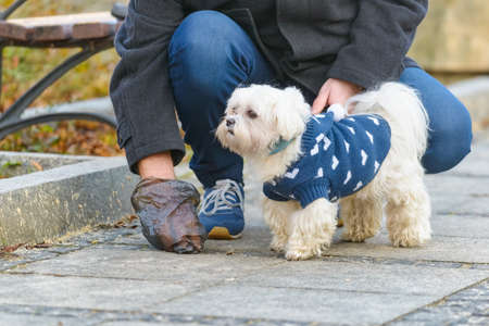 Man collects dog poop into a bag while walking down a city streetの写真素材