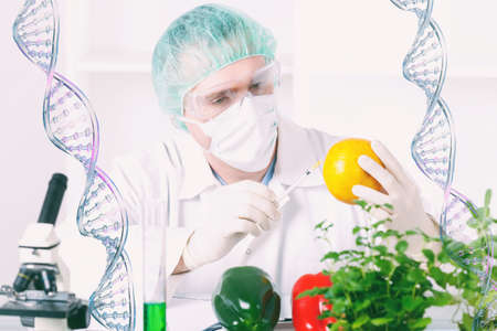 Researcher with GMO plants. Genetically modified organism or GEO is a plant whose genetic material...