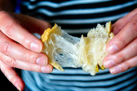 Example of bread made from flour rich in gluten. Tradiional Italian ciabatta bread, homemade.