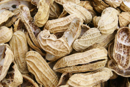 peanut shellsの写真素材