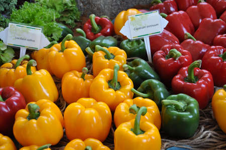 sweet pepperの写真素材