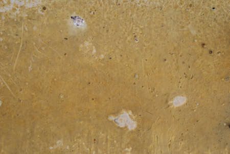 Grunge Backgroundsの写真素材
