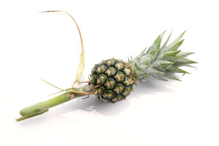 small pineapple isolated on whiteの写真素材