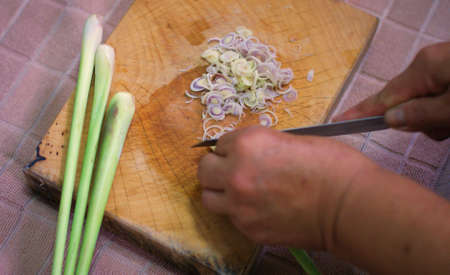 lemongrass, Cymbopogon citratus Stapf, Gramineae の写真素材