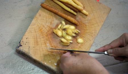 Fingerrootの写真素材