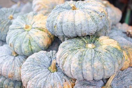 pumpkins, marketの写真素材