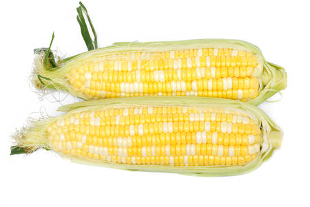 raw bicolor corn on white background