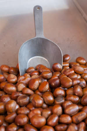 Chestnut close up shoot,background