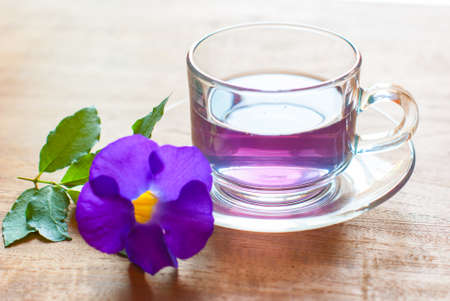 a cup of purple tea on wood board, drink for healthの写真素材