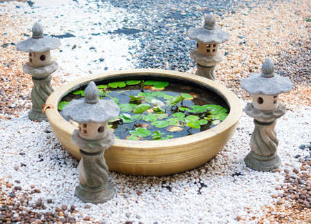 Water lily in asian ceramic bowl on colorful rockの写真素材