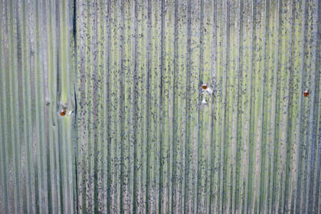 Galvanized corrugated iron