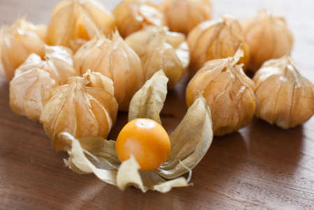 Physalis heap isolated on whiteの写真素材