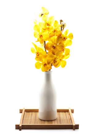 beautiful yellow orchid isolated on whiteの写真素材
