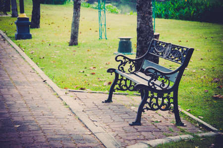 chairs standing on a lawn at the gardenの写真素材